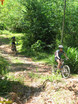 Click for larger image.