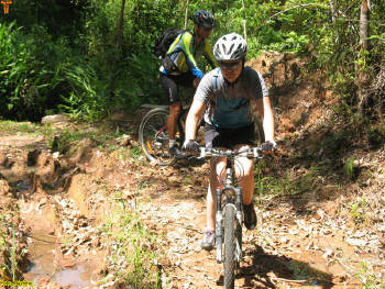 Click for larger image.