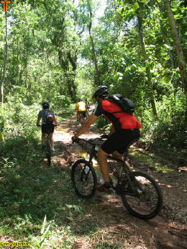 Click for larger image.