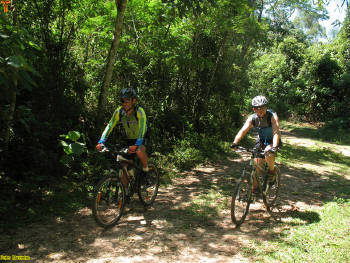 Click for larger image.