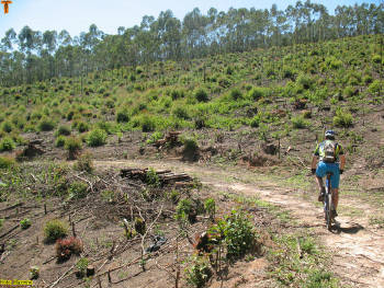 Click for larger image.