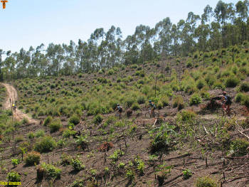 Click for larger image.