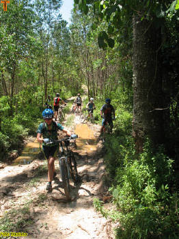 Click for larger image.