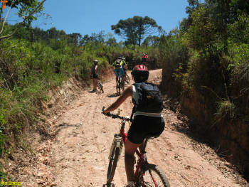 Click for larger image.