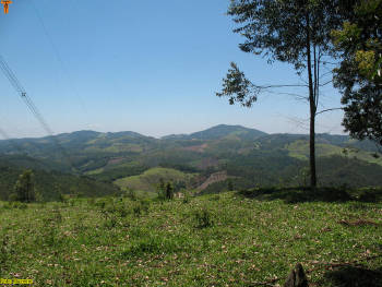 Click for larger image.