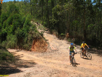 Click for larger image.