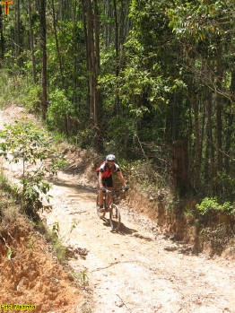 Click for larger image.