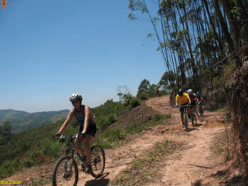 Click for larger image.