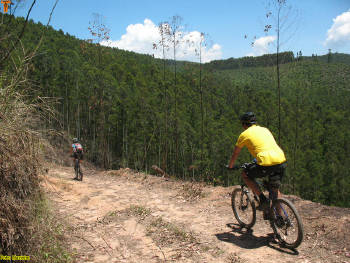 Click for larger image.