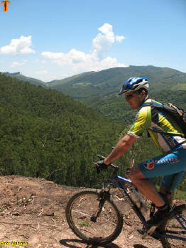 Click for larger image.