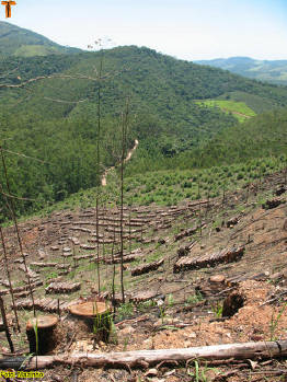 Click for larger image.