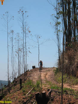 Click for larger image.