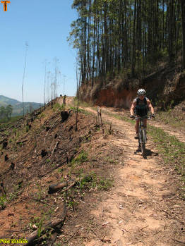 Click for larger image.