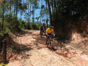 Click for larger image.