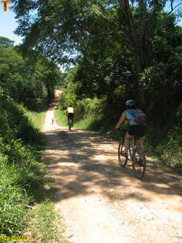 Click for larger image.