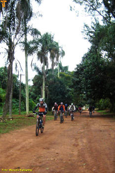 Click for larger image.