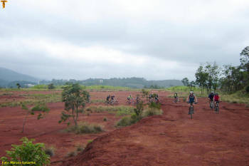 Click for larger image.