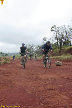 Click for larger image.