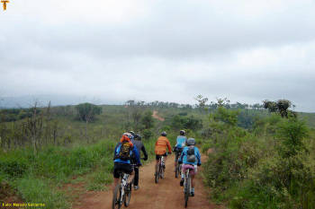 Click for larger image.