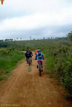 Click for larger image.