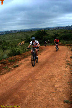 Click for larger image.