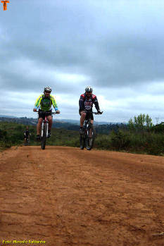 Click for larger image.