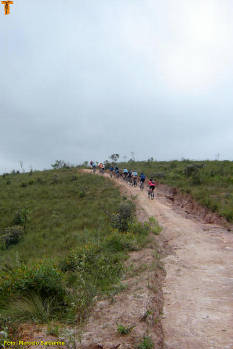 Click for larger image.