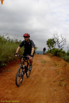 Click for larger image.