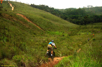 Click for larger image.