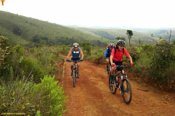 Click for larger image.