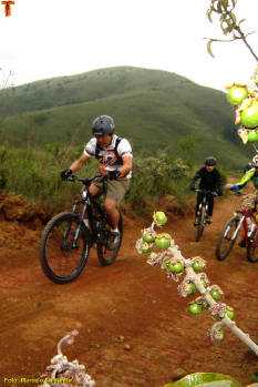 Click for larger image.