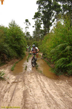 Click for larger image.