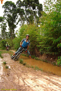 Click for larger image.