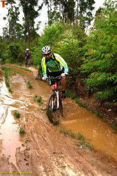 Click for larger image.