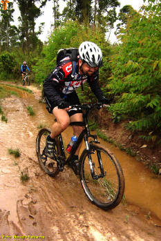 Click for larger image.