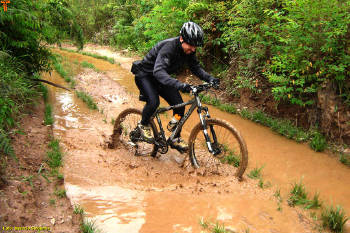 Click for larger image.