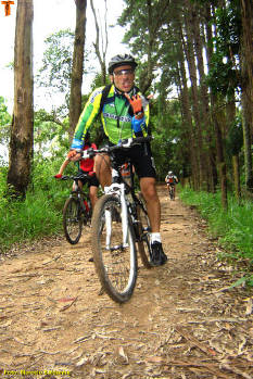 Click for larger image.