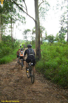 Click for larger image.