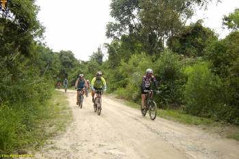 Click for larger image.