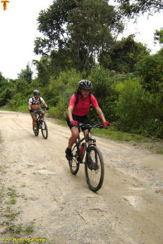 Click for larger image.