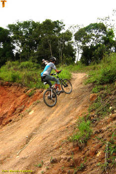 Click for larger image.