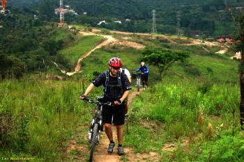 Click for larger image.