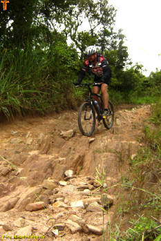 Click for larger image.