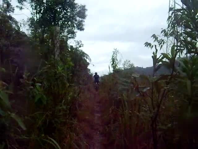 IMGP7984