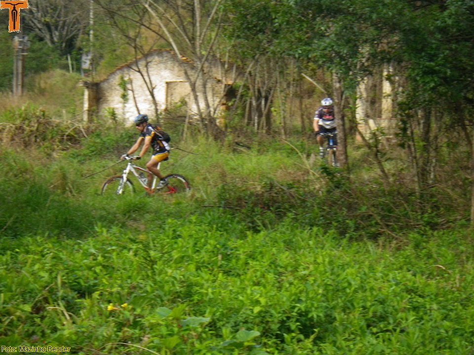 IMGP8310