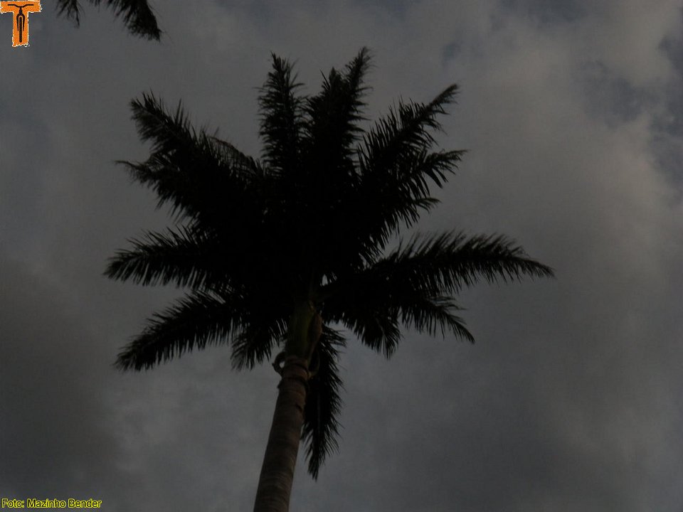 xIMGP0003