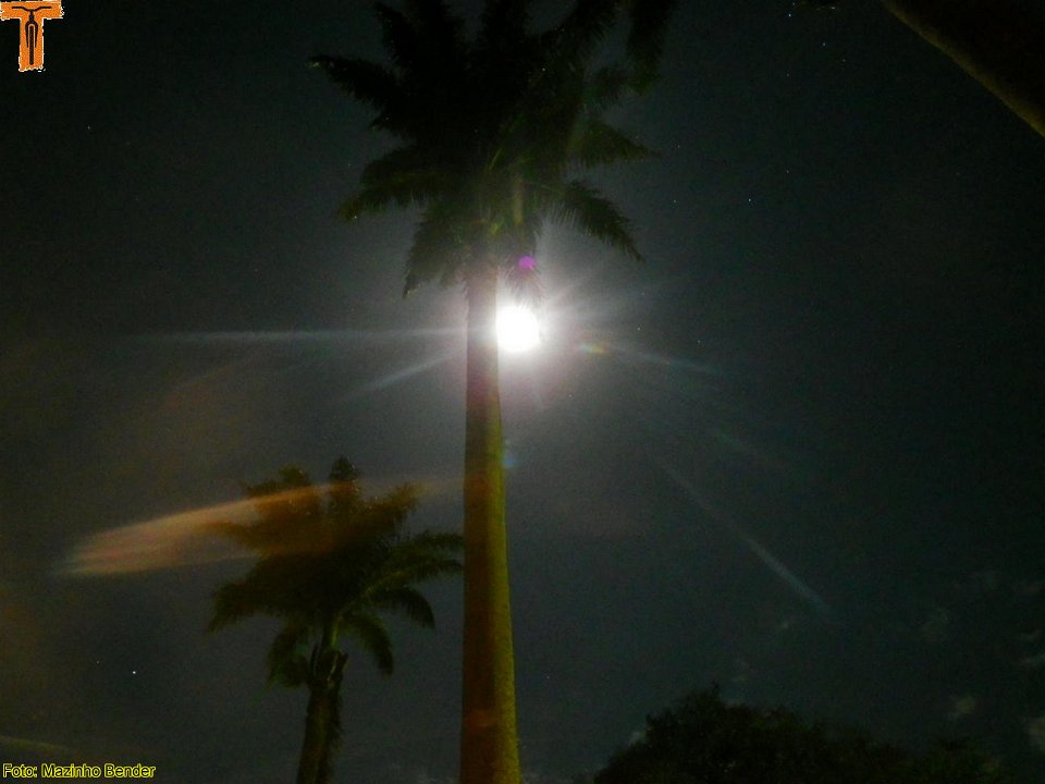 xIMGP0019