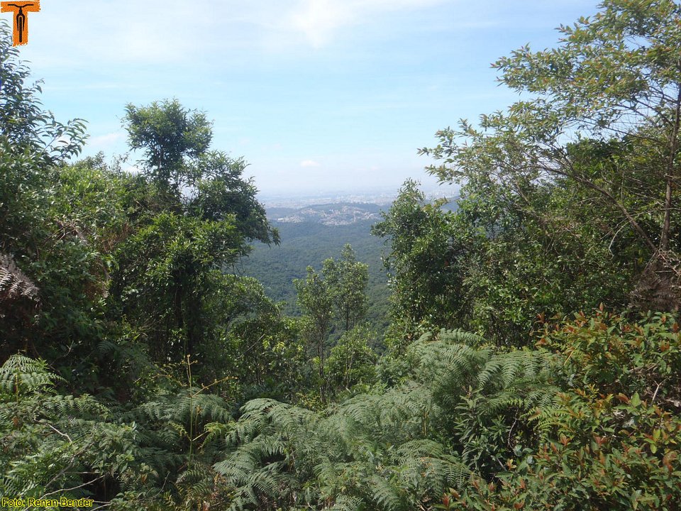 PC070028