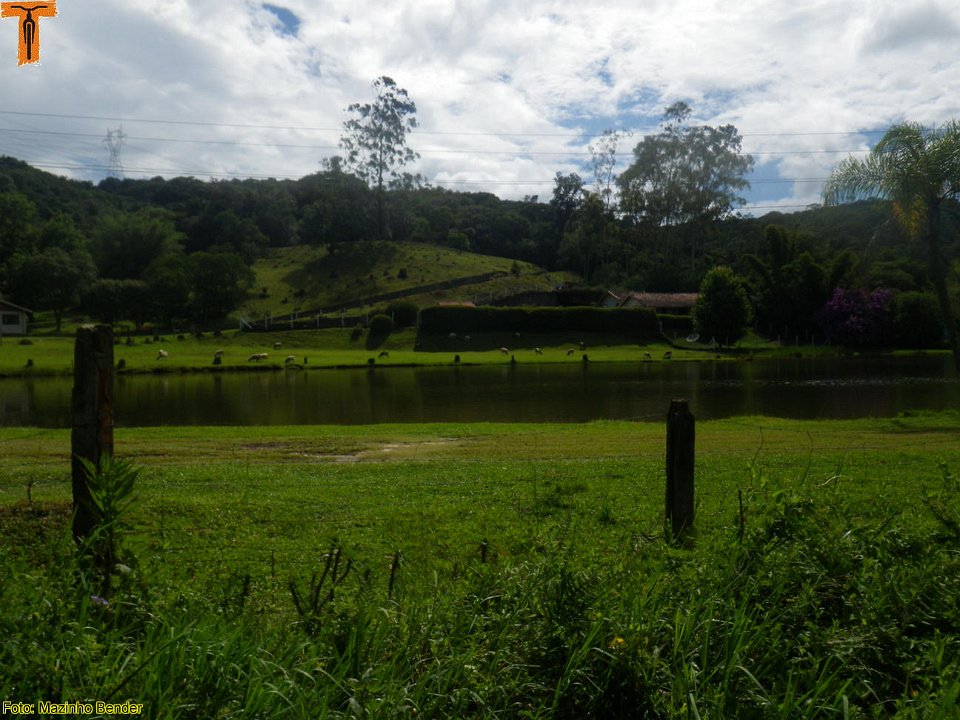 IMGP9950