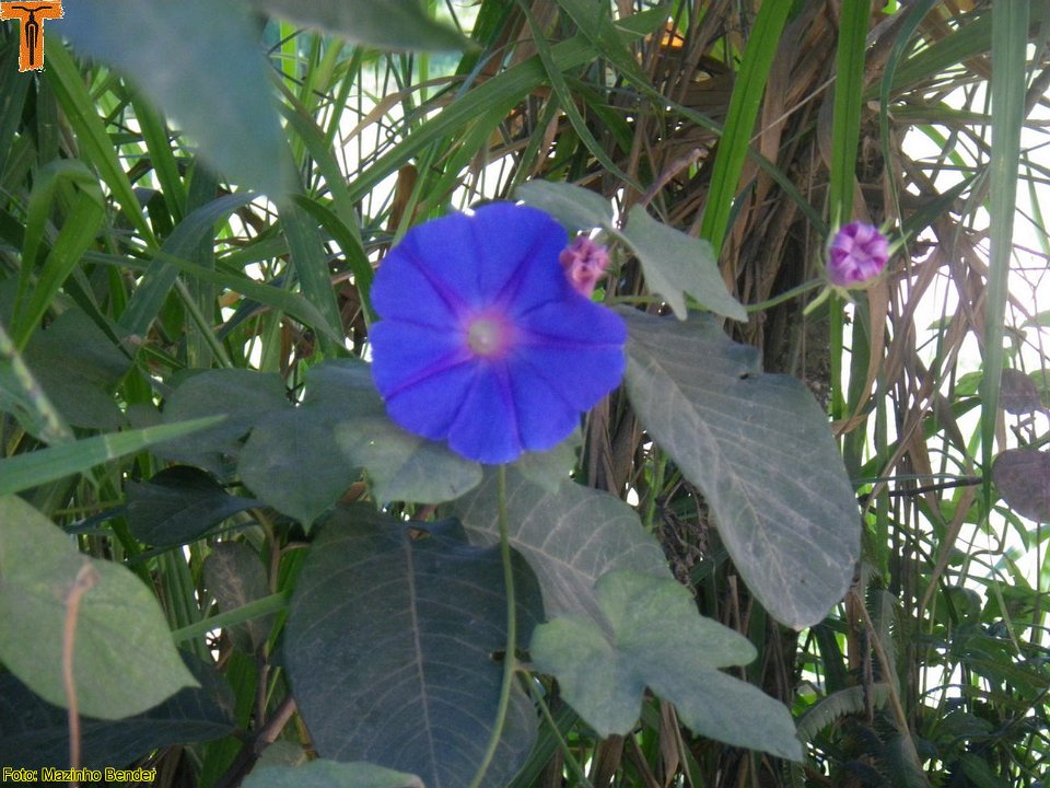 IMGP0060